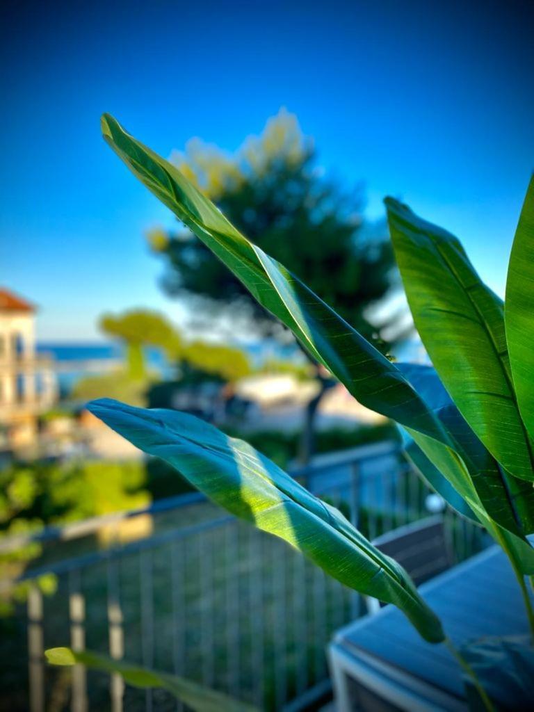 La Marinella Massignano Quarto foto